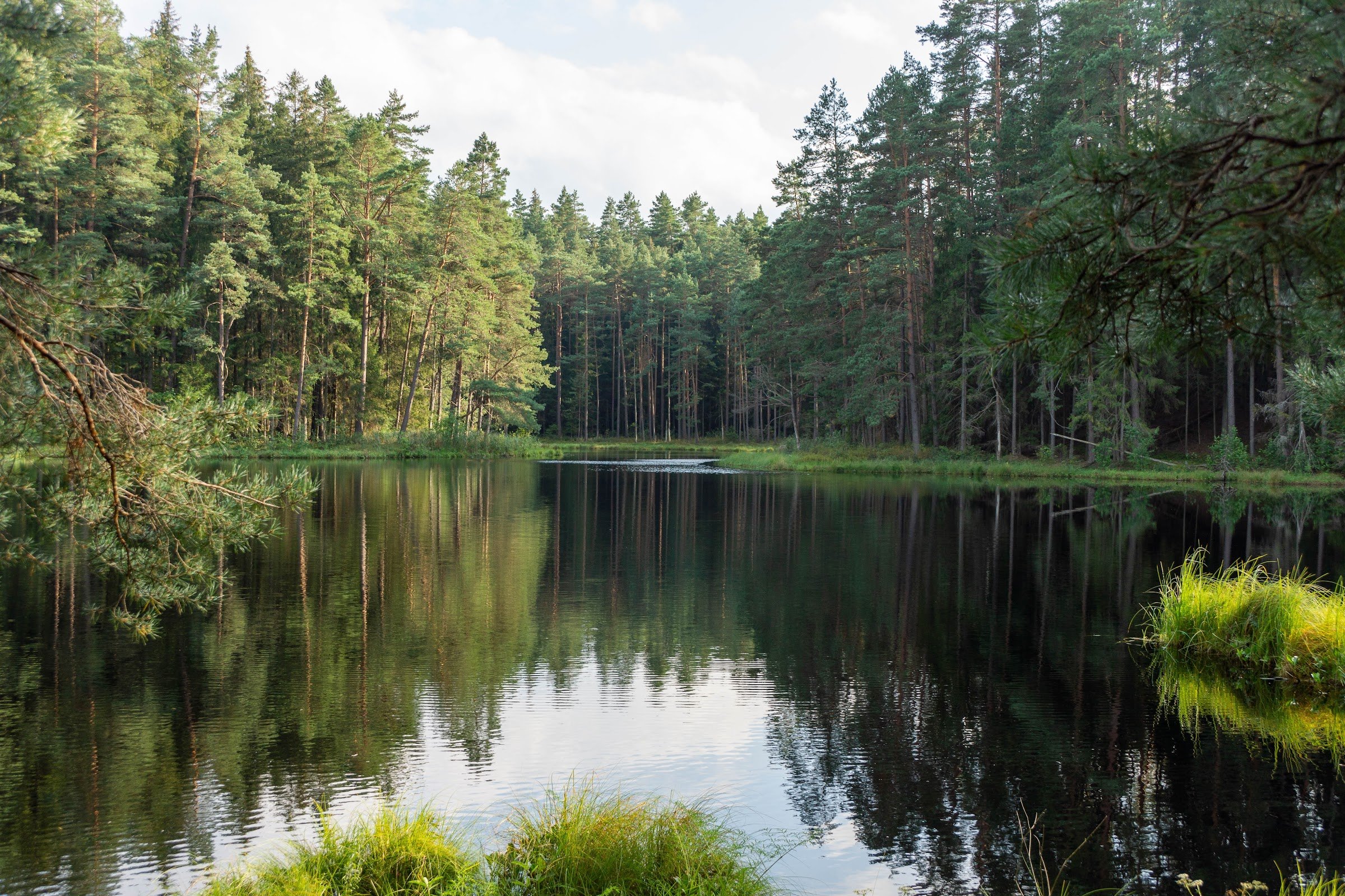 Wigierski Park Narodowy